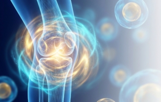 Stylized illustration of a regenerating knee joint representing meniscus repair stem cell therapy candidacy