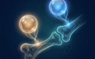 Conceptual illustration comparing BMAC vs PRP for bone healing showing two distinct regenerative therapy pathways